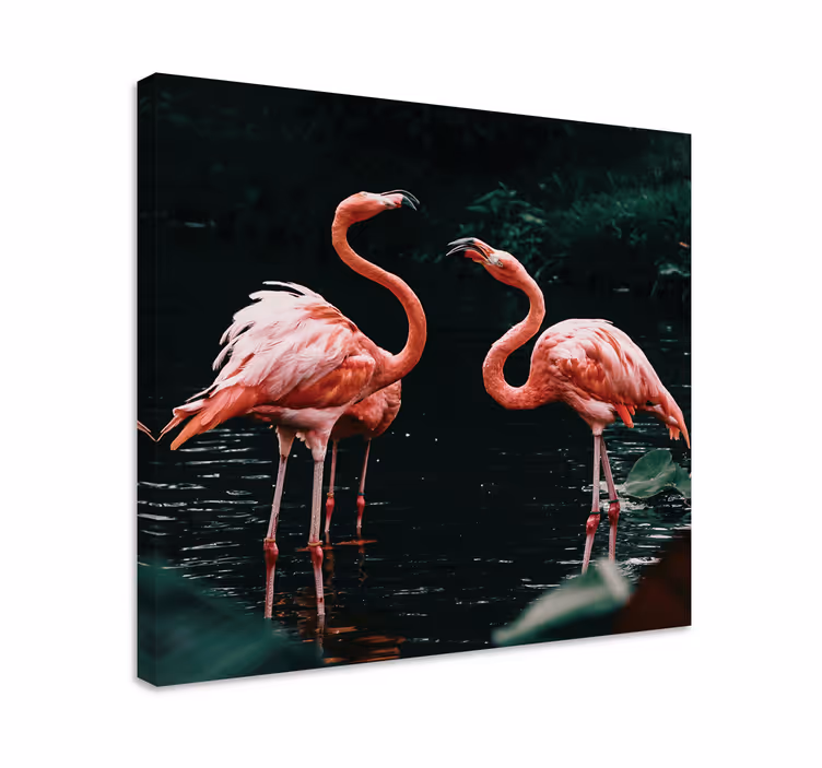 Cuadro aves flamencos al anochecer - TenVinilo