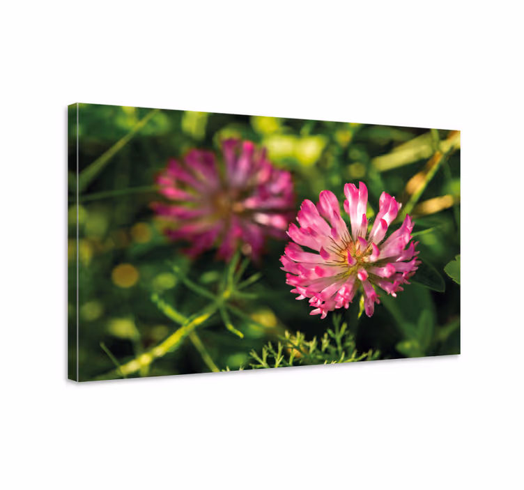 Cuadro de flores racimo de flores rosas - TenVinilo