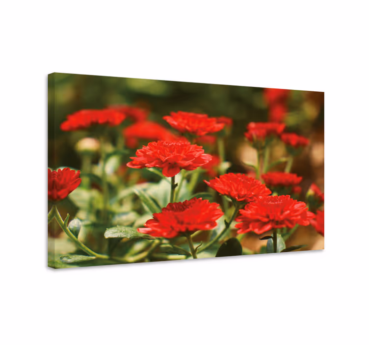 Cuadro de flores flores rojas en flor - TenVinilo