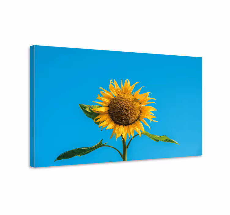 Cuadro de flores flor de girasol radiante - TenVinilo