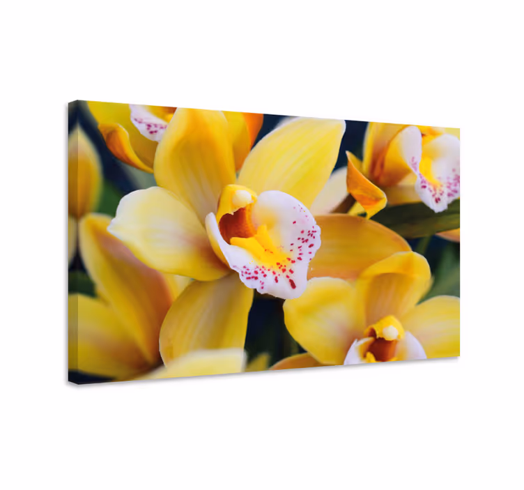 Cuadro de flores flores de orquídea vibrantes - TenVinilo