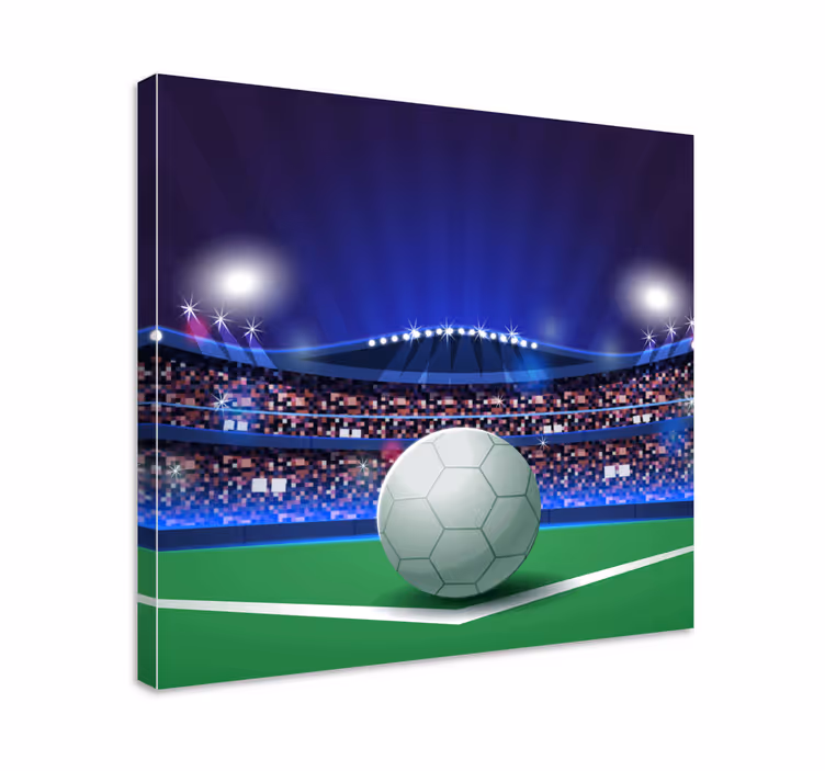 Cuadro casa Bola en estadio de luz - TenVinilo