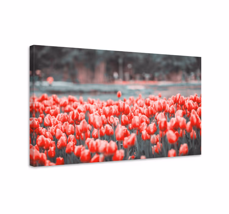 Cuadro de flores Campo de tulipanes rosa diferente - TenVinilo