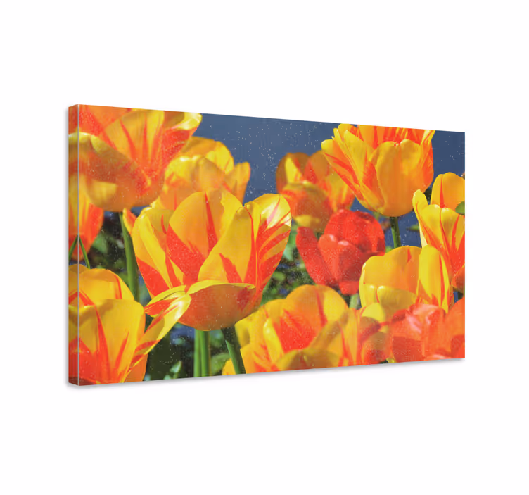 Cuadro de flores capullos de tulipanes vibrantes - TenVinilo