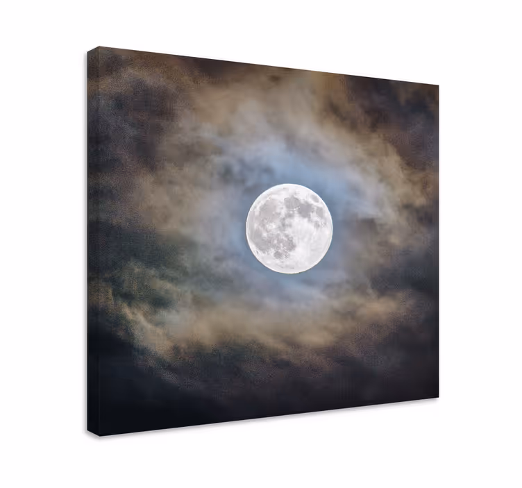 Cuadro paisajes Noche de luna llena - TenVinilo