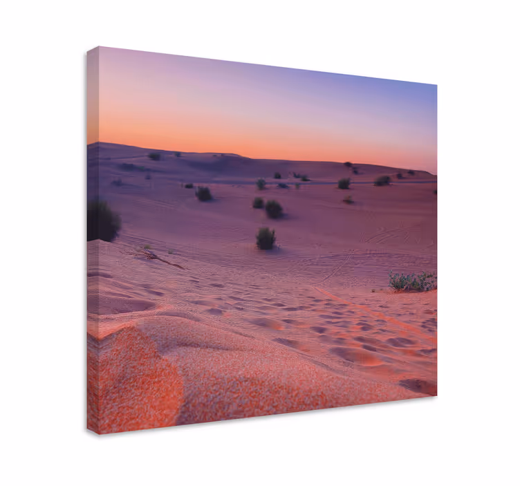 Cuadro paisajes serenidad en las dunas del desierto - TenVinilo