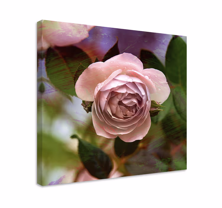 Cuadro de flores Rosa detallado - TenVinilo