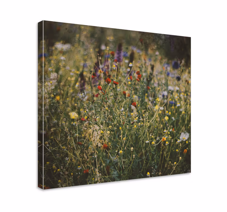 Cuadro de flores pradera de flores silvestres - TenVinilo