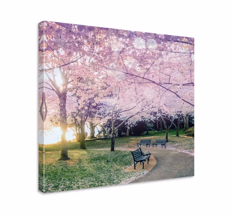 Cuadro de flores sendero de cerezos - TenVinilo