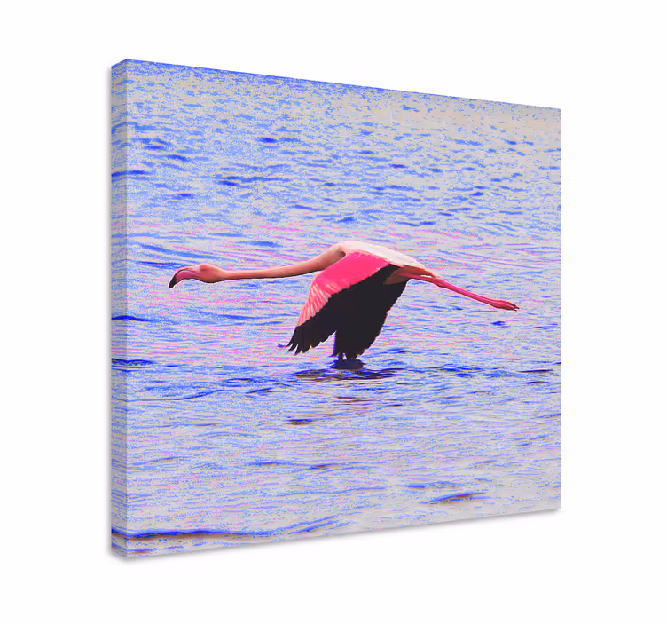 Cuadro de peces flamenco en vuelo - TenVinilo