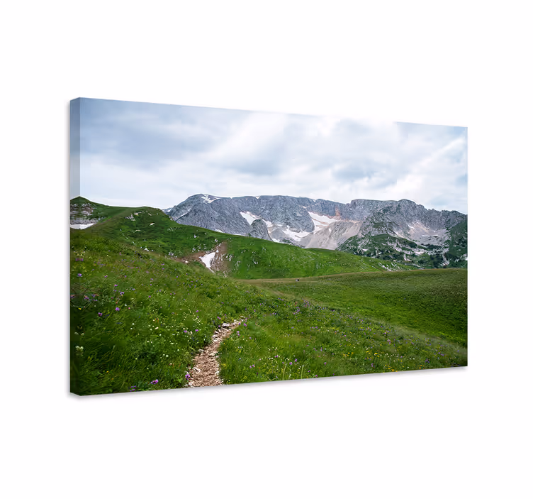 Cuadro paisajes sendero montañés sereno - TenVinilo