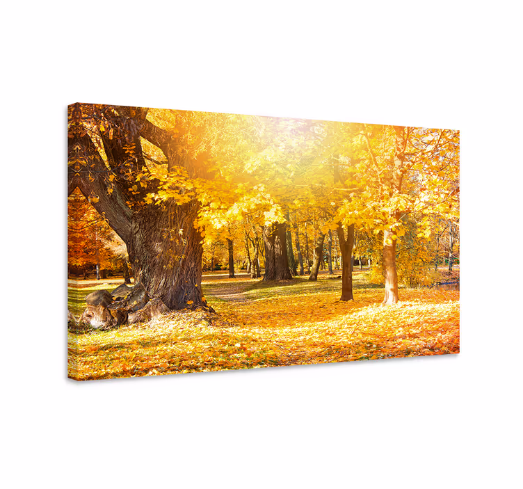 Cuadro paisajes Rayos del sol en un bosque de otoño - TenVinilo