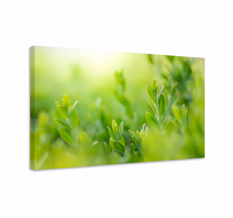 Cuadro de flores verde exuberante en primer plano - TenVinilo