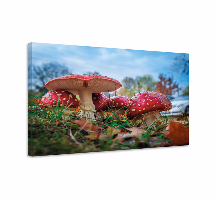 Cuadro de flores racimo de hongos rojos - TenVinilo