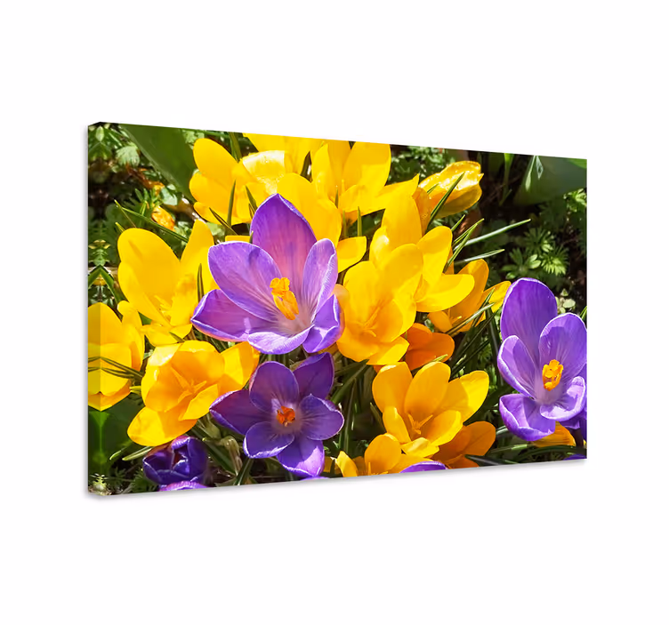 Cuadro de flores flores coloridas de primavera - TenVinilo