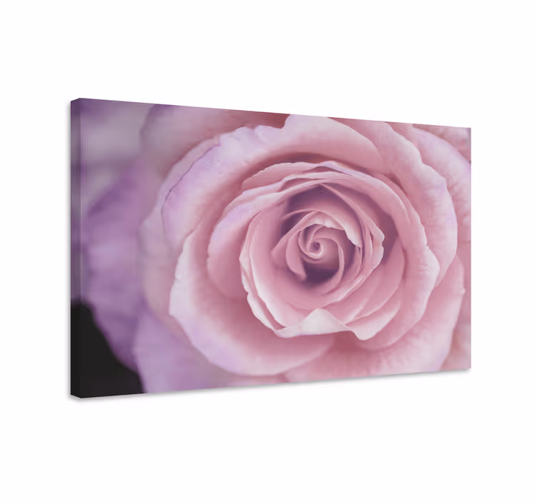 Cuadro de flores detalle floral en rosa - TenVinilo