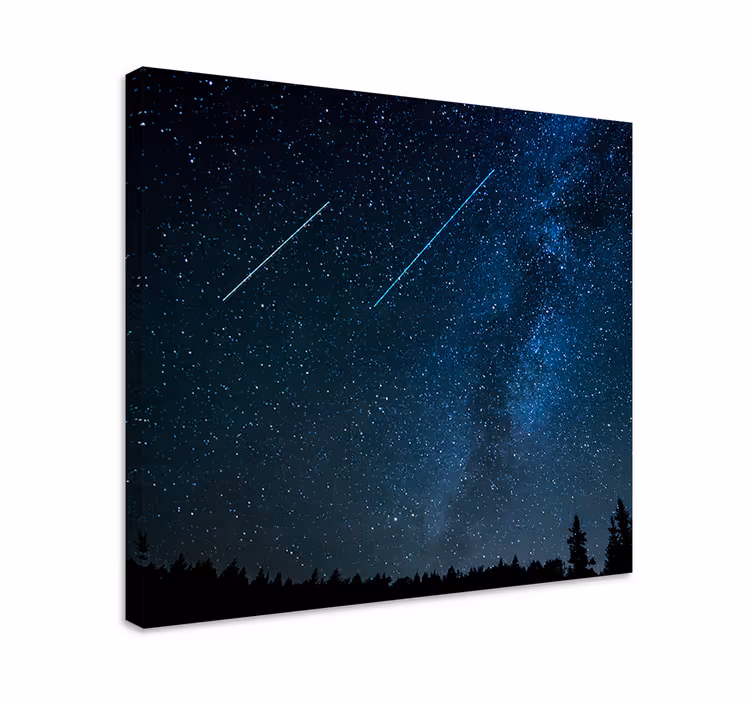 Cuadro paisajes cielo estrellado de atardecer - TenVinilo