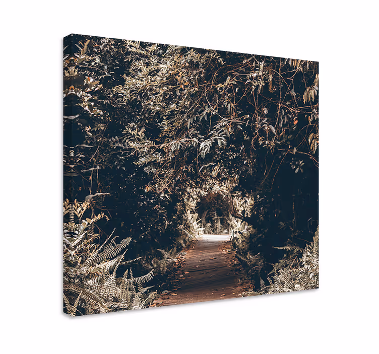 Cuadro de árboles sendero boscoso - TenVinilo