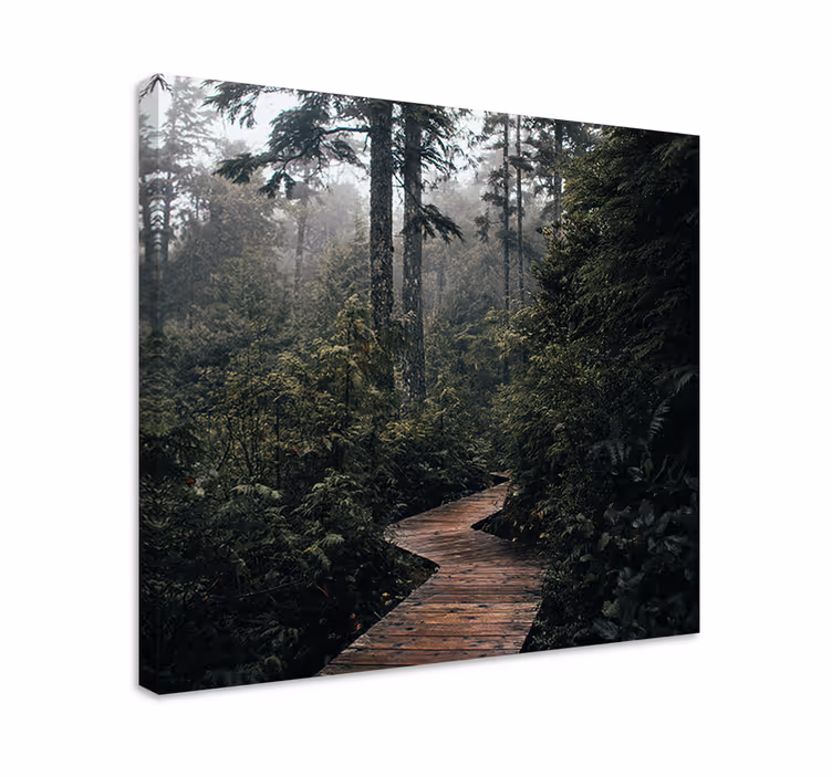 Cuadro paisajes sendero boscoso tranquilo - TenVinilo