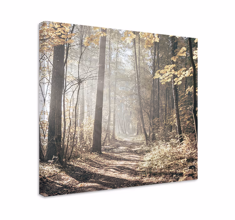 Cuadro paisajes sendero cubierto de niebla - TenVinilo
