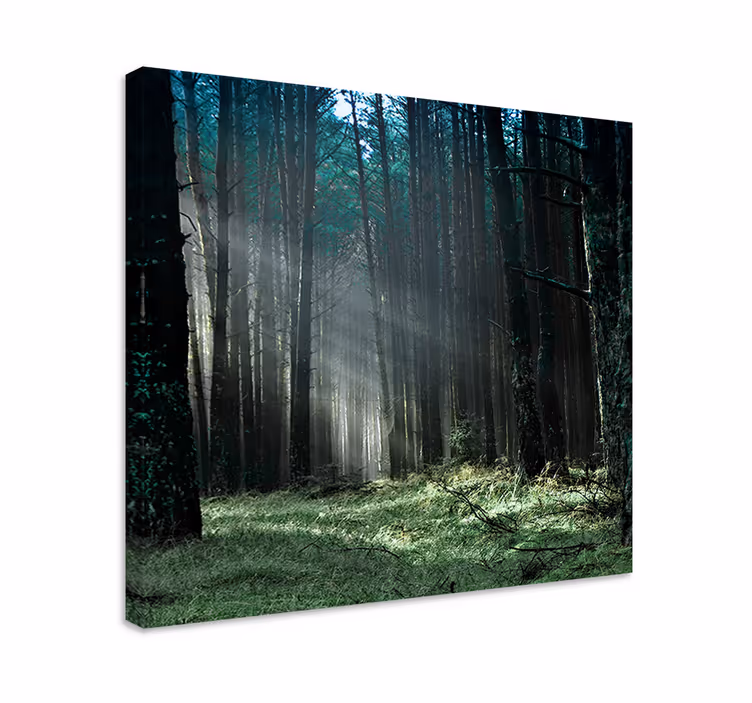 Cuadro de árboles luz del bosque místico - TenVinilo
