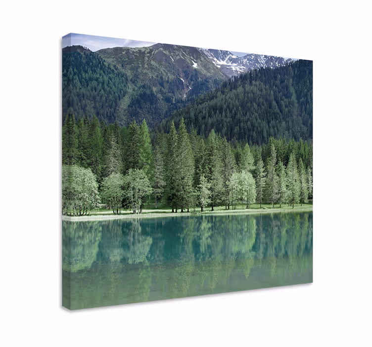 Cuadro paisajes Naturaleza hermoso lago verdoso - TenVinilo