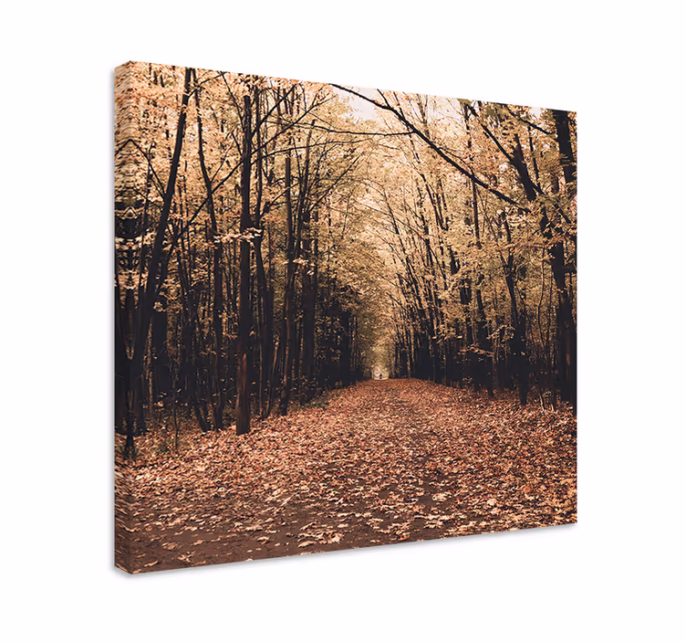Cuadro paisajes escena del sendero otoñal - TenVinilo