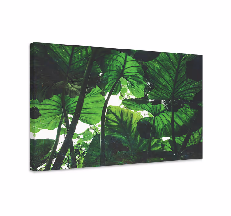 Cuadro de flores dosel de hojas tropicales - TenVinilo