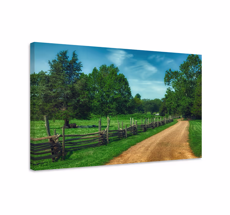 Cuadro paisajes camino rural sereno - TenVinilo