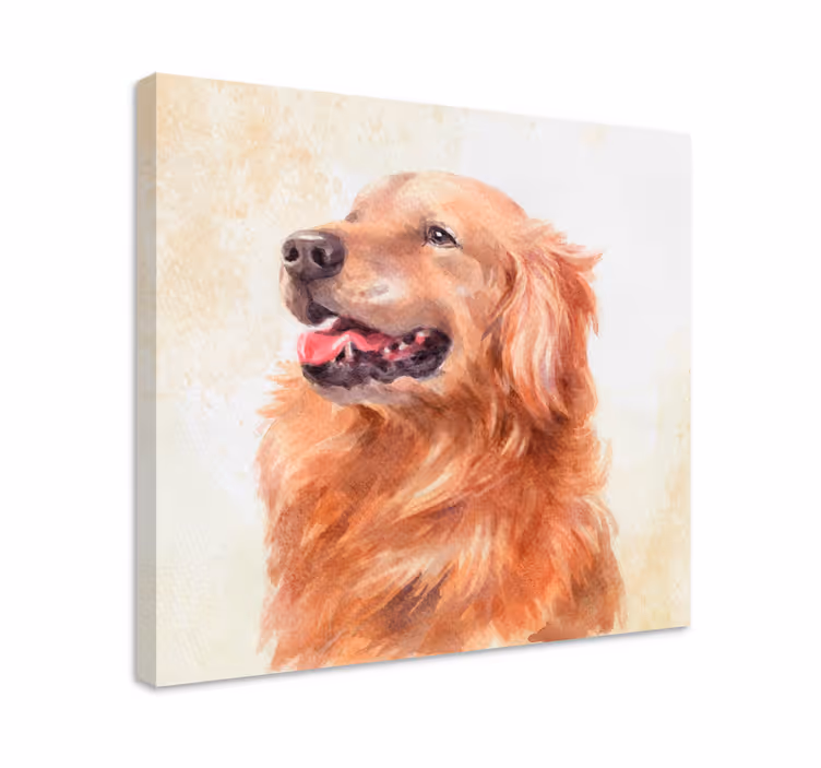 Cuadro de perro ilustración de golden retriever - TenVinilo