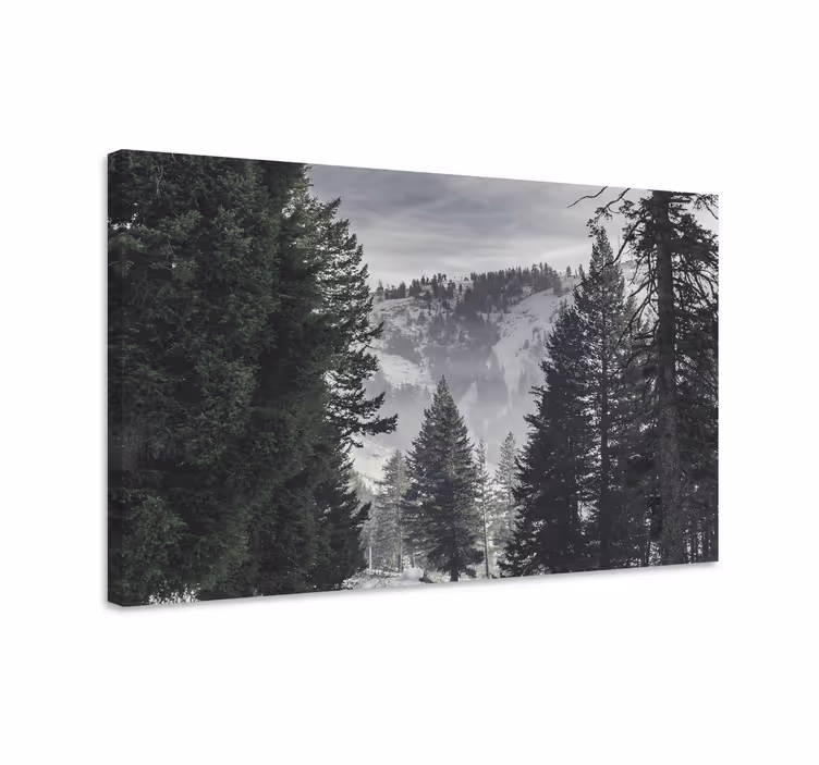 Cuadro paisajes Bosque verde montaña - TenVinilo