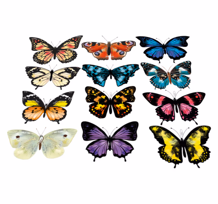 Alfombra vinílica animales ilustración mariposa - TenVinilo