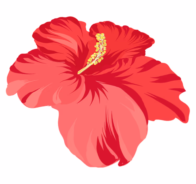 Alfombra vinílica flores kit de flores hibisco - TenVinilo
