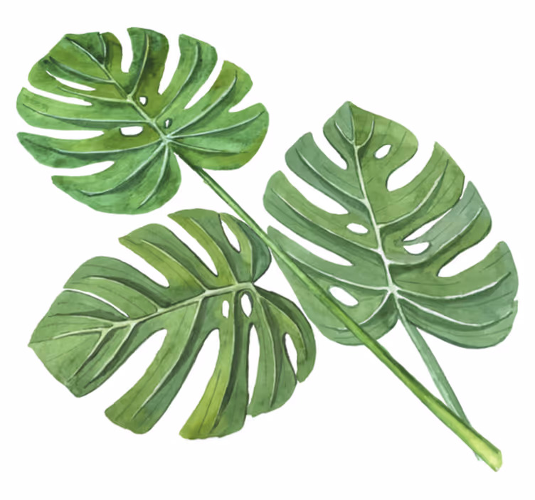 Alfombra vinílica flores hojas de monstera acuarela - TenVinilo
