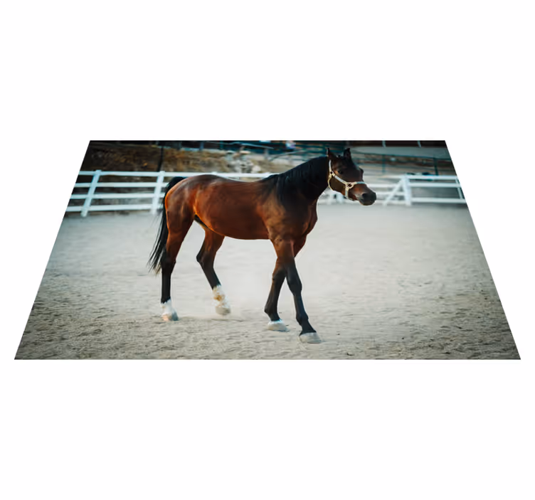 Alfombra vinílica animales majestuoso retrato de caballo - TenVinilo