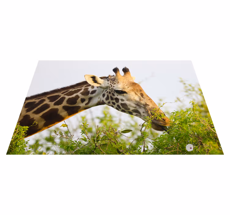 Alfombra vinílica animales jirafa comiendo verduras - TenVinilo