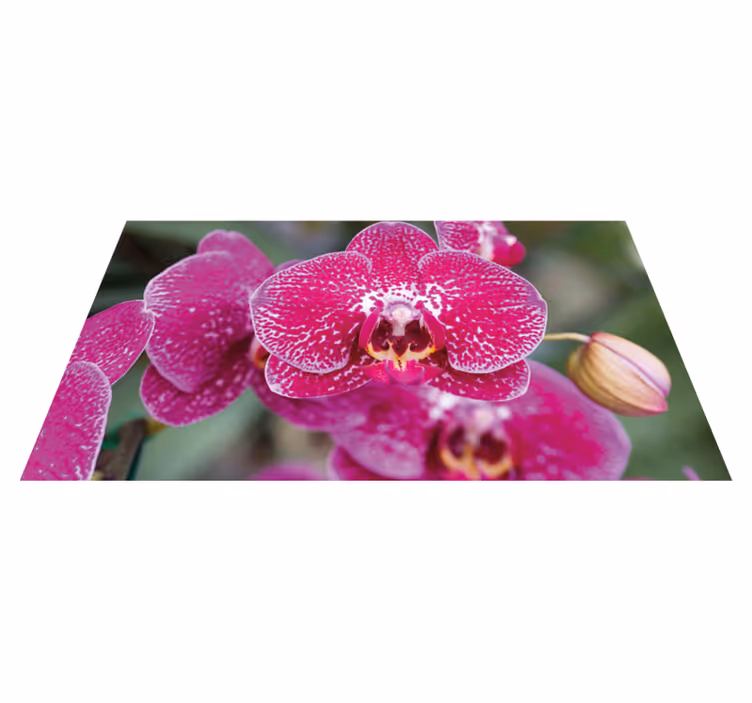 Alfombra vinílica flores brotes de orquídea vibrantes - TenVinilo