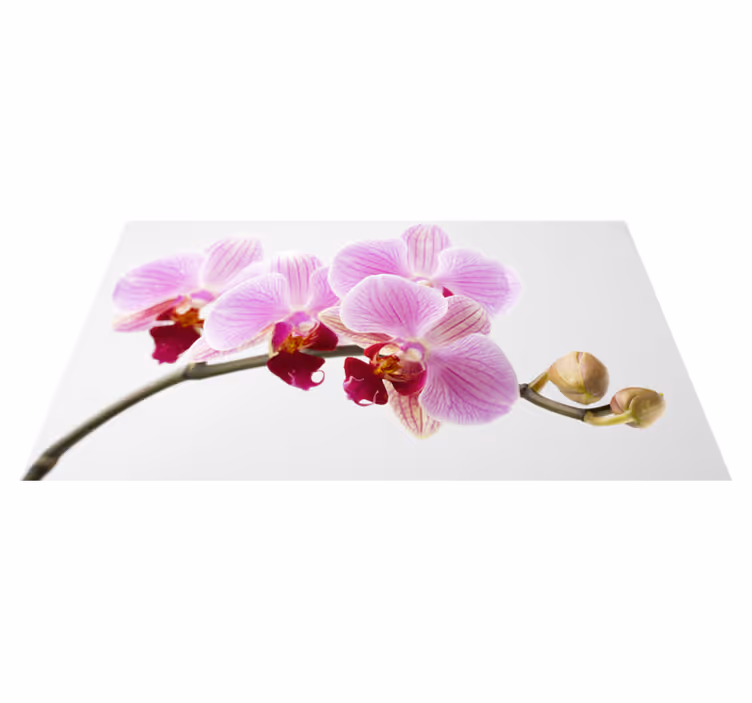 Alfombra vinílica flores diseño de orquídea rosa - TenVinilo