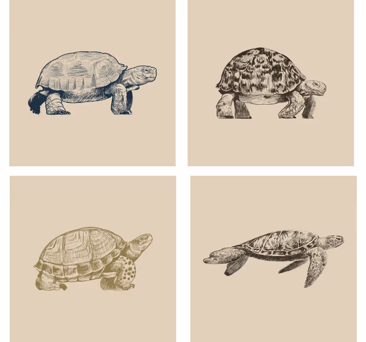 Papel tapiz vintage tortugas sobre fondo beige - TenVinilo
