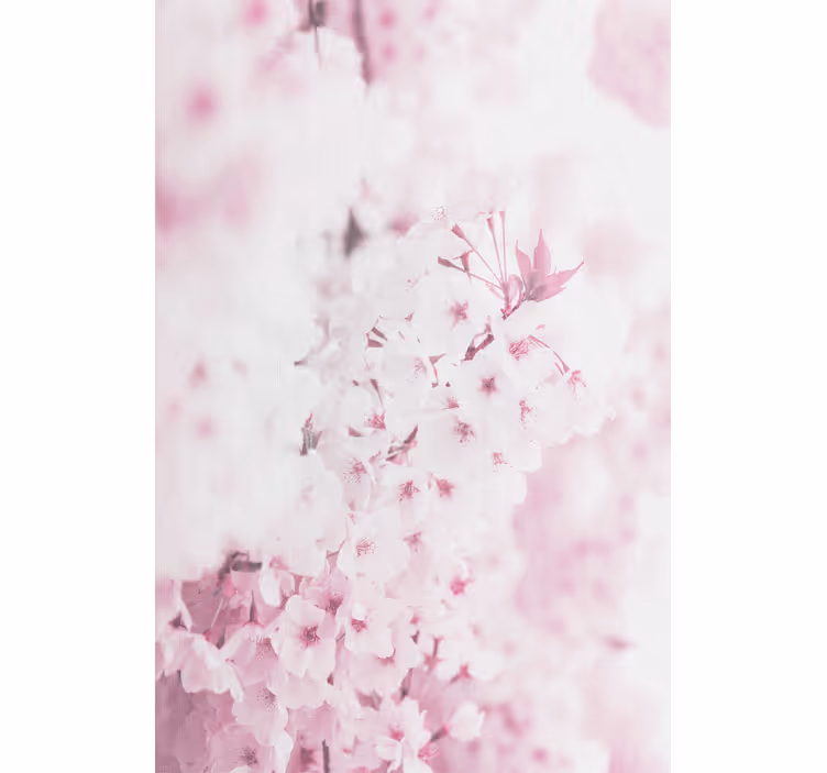 Papel tapiz flores fondo de flores rosa claro - TenVinilo