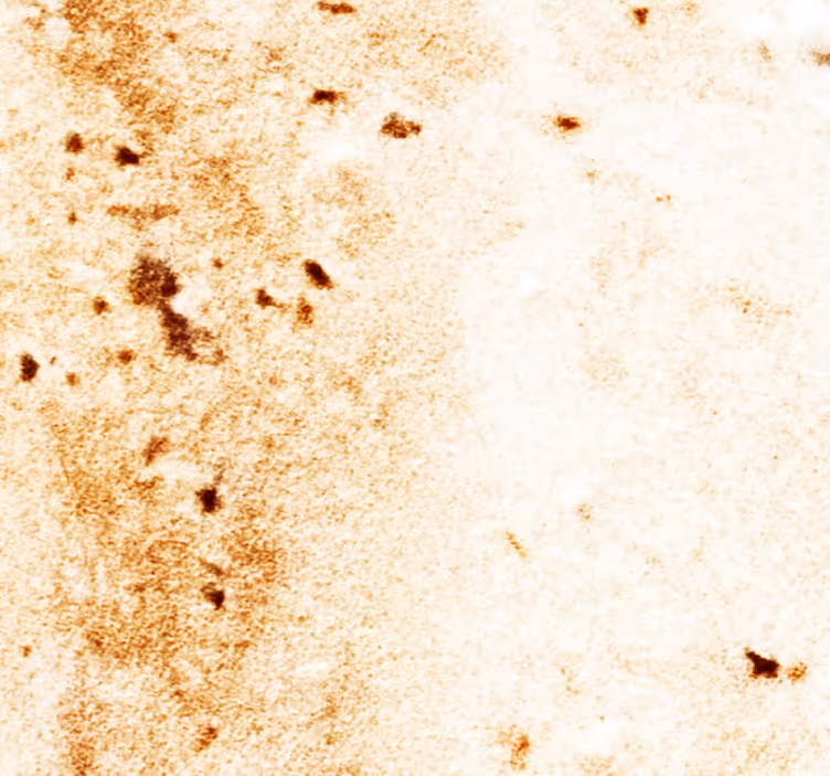 Papel tapiz mármol estética de piedra natural - TenVinilo