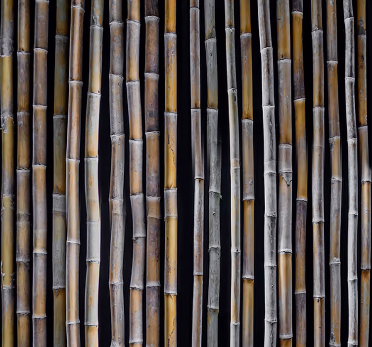 Papel de pared tablones de madera clásicos - TenVinilo