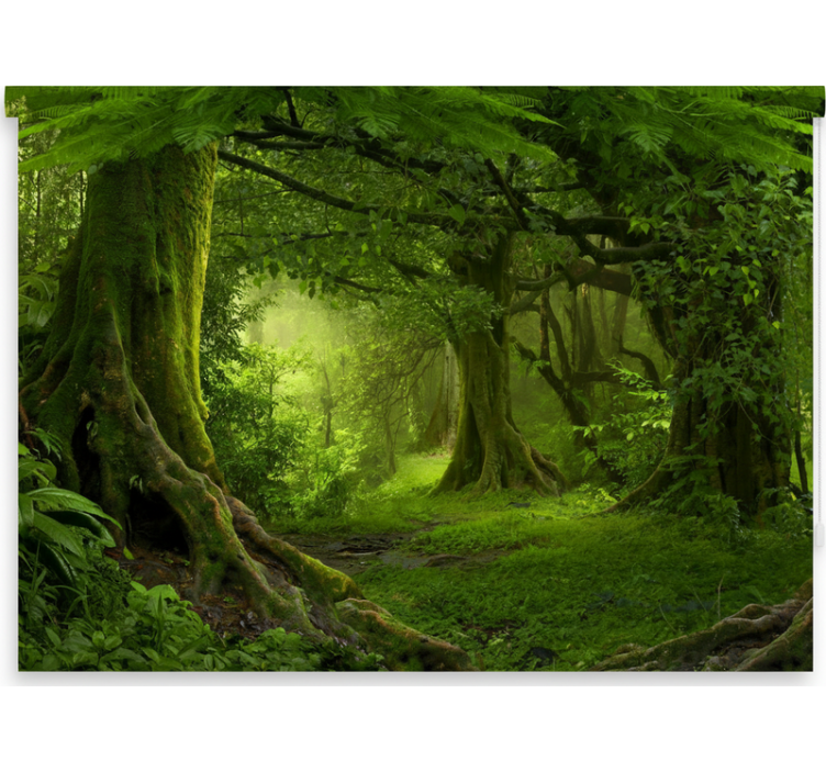 Cortina roller árboles escape frondoso del bosque - TenVinilo