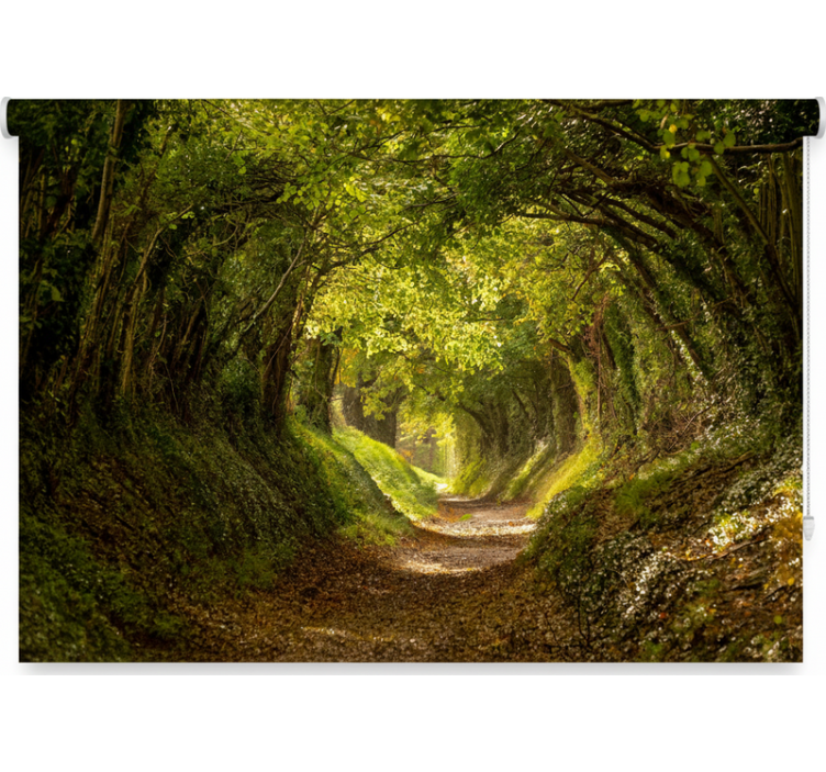 Cortina roller árboles mural de bosque inmersivo - TenVinilo