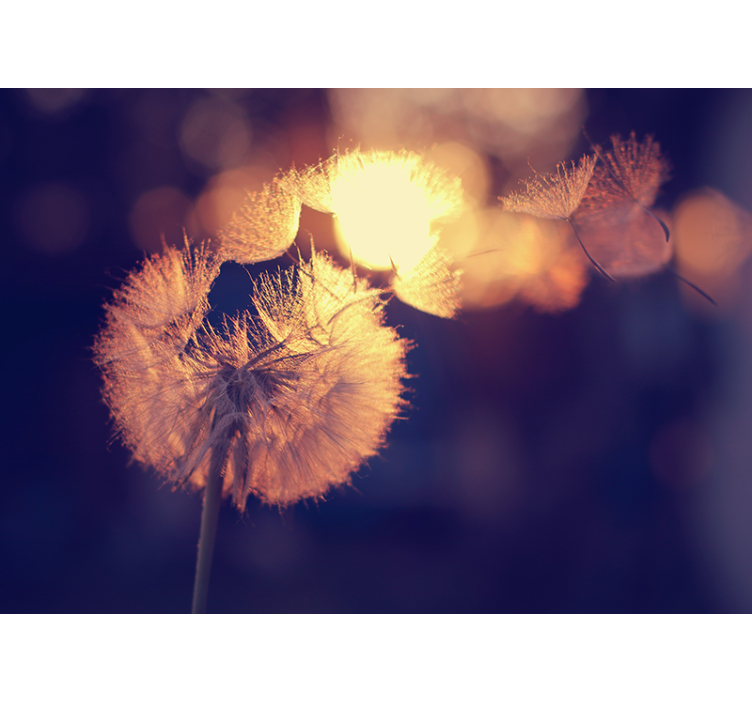 Cortina roller cocina diseño de diente de león - TenVinilo