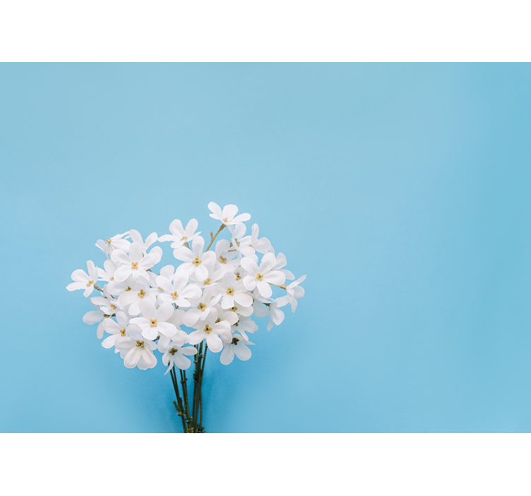 Cortina roller cocina fondo jazmín azul - TenVinilo