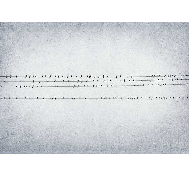 Cortina roller blanca concierto de aves en cables - TenVinilo