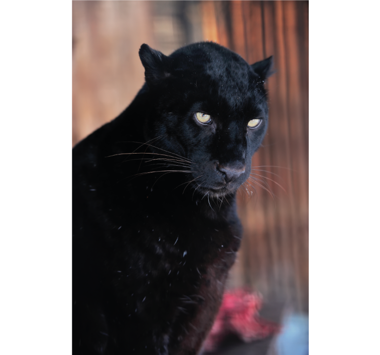 Cortina roller living comedor leopardo acechando - TenVinilo