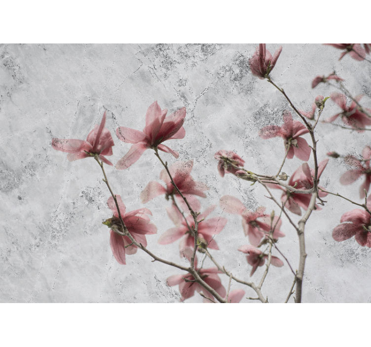 Cortina roller living comedor estilo glamour magnolia - TenVinilo