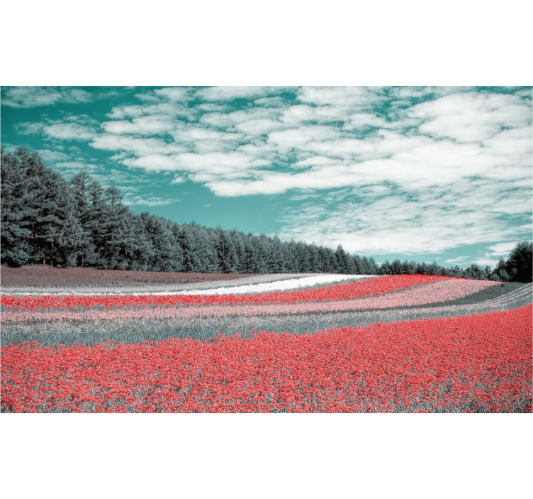 Cortina roller living comedor campo de flores diverso - TenVinilo